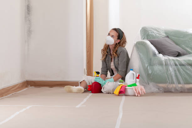 Reliable Black Mold Removal contractor in Clearwater, MN by WQB Mold Removal